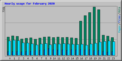 Hourly usage for February 2020
