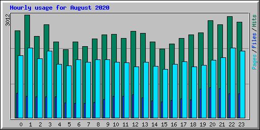 Hourly usage for August 2020
